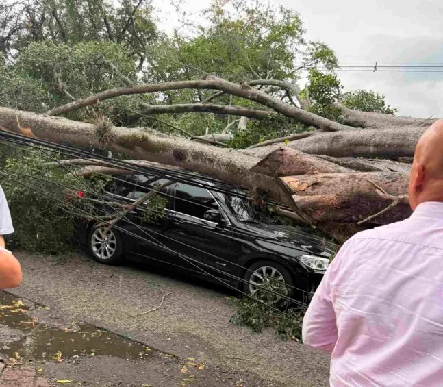 Nicolás Hernández se salvó de milagro: gigantesco árbol cayó sobre su camioneta camino al entrenamiento con América