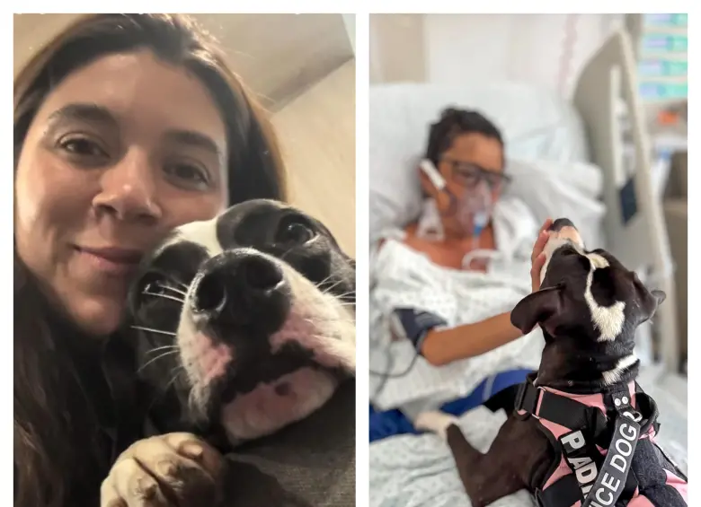 Ella es Padme, la perrita ‘doctora’ que ayuda a sanar pacientes en Medellín